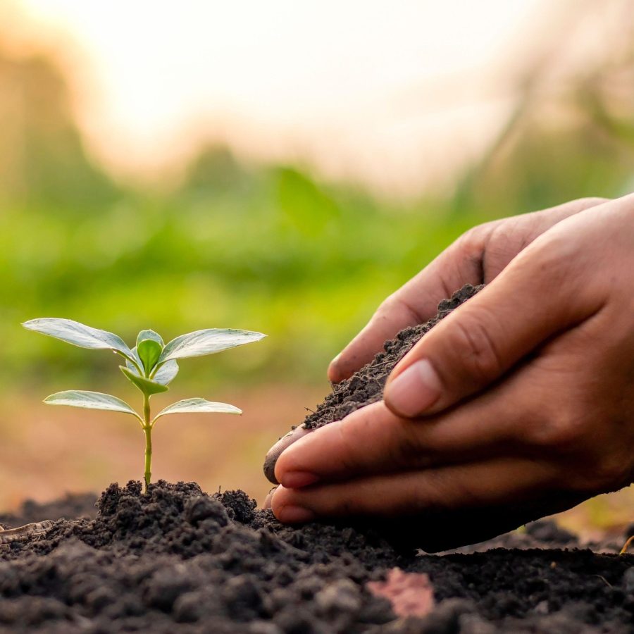 soil-8166778_1280