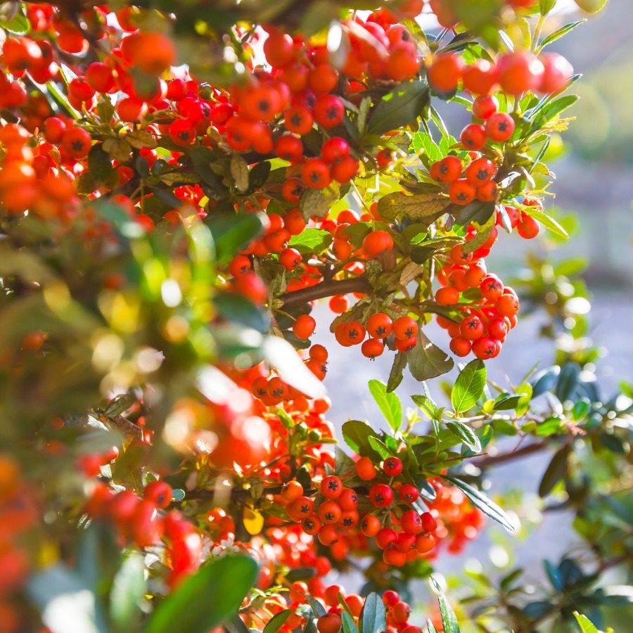 WhatsApp Image 2025-03-16 at 21.33.17