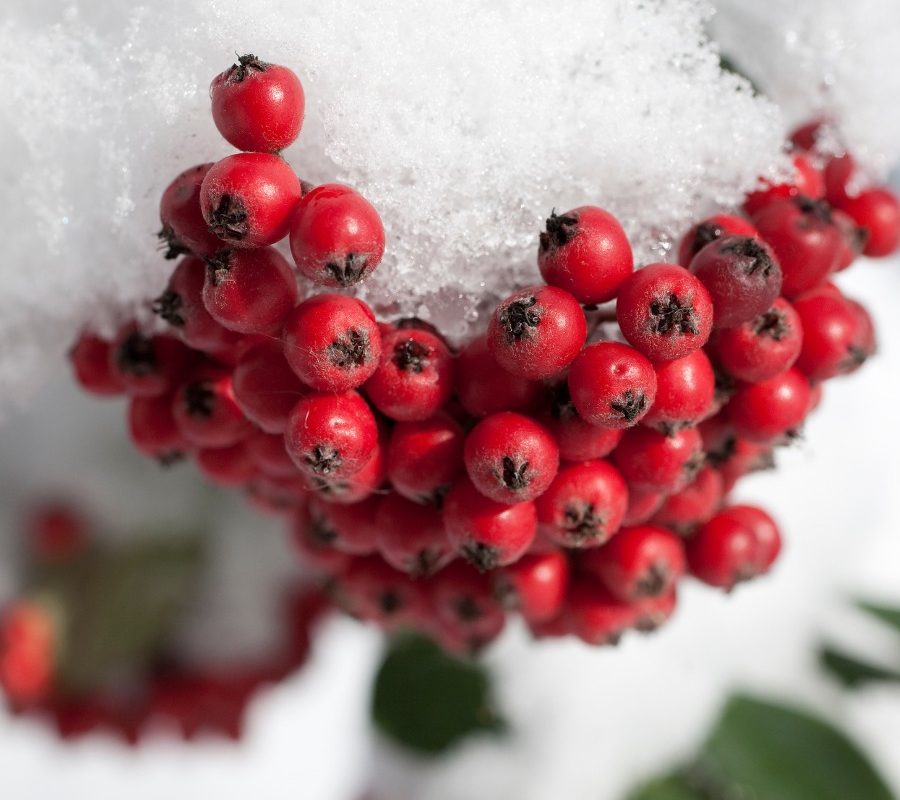 WhatsApp Image 2025-03-16 at 21.33.18